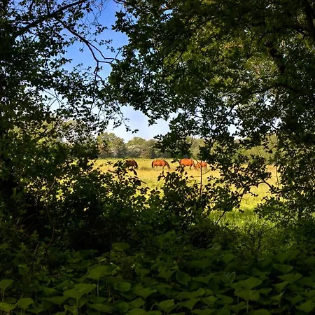 In A 17th Century Manoir - Chateau Isle Marie Hotel *