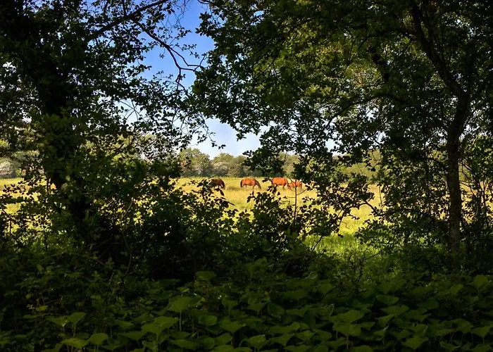 In A 17th Century Manoir - Chateau Isle Marie Hotel *